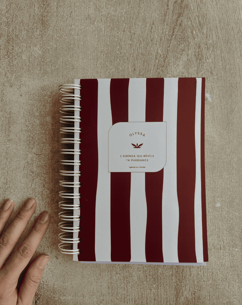 Identité visuelle graphiste